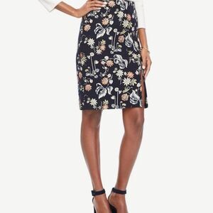 Ann Taylor skirt